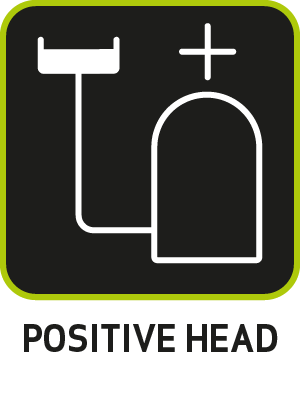 Positive head: Yes