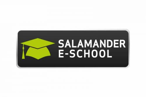 Salamander E-School Logo