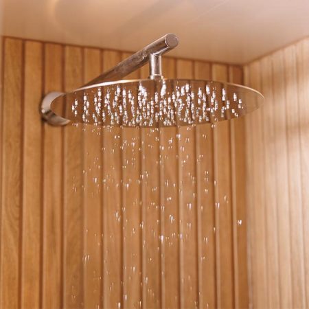 A rain head shower head