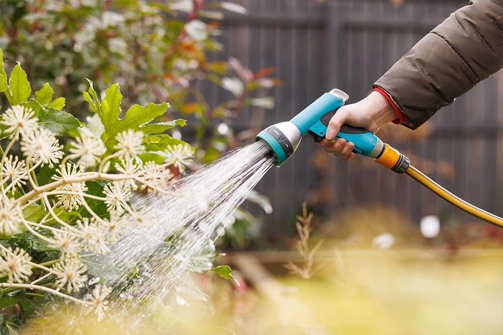 Someone using a powerful outdoor hose